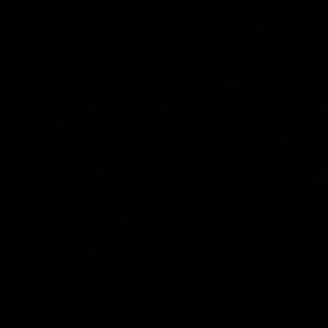 Meet your Posher, Dee